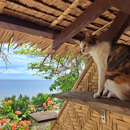 Paseo Del Mar Seaside Inn Jagna Εξωτερικό φωτογραφία