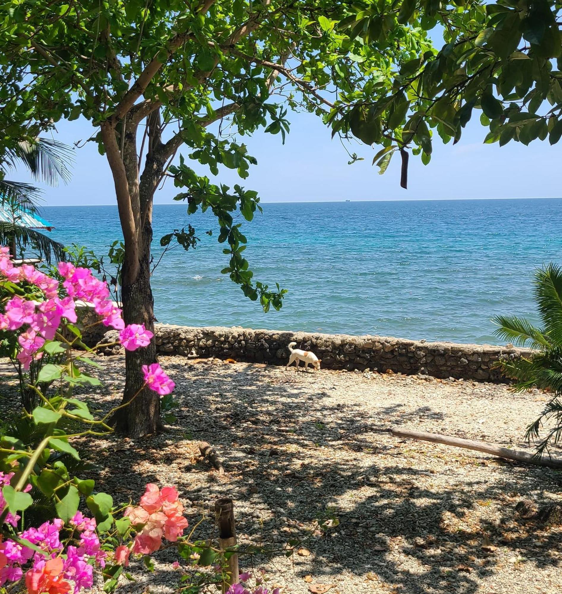 Paseo Del Mar Seaside Inn Jagna Εξωτερικό φωτογραφία
