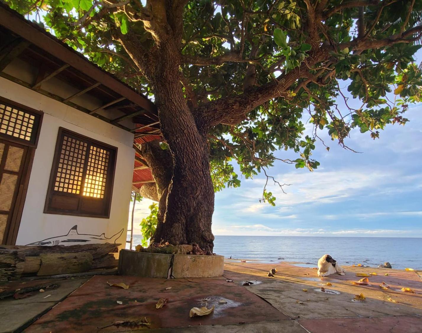 Paseo Del Mar Seaside Inn Jagna Εξωτερικό φωτογραφία